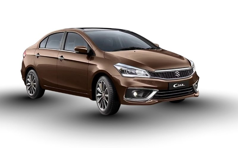 DIGNITY BROWN WITH BLUISH BLACK ROOF